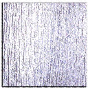 Rain_glass.gif
